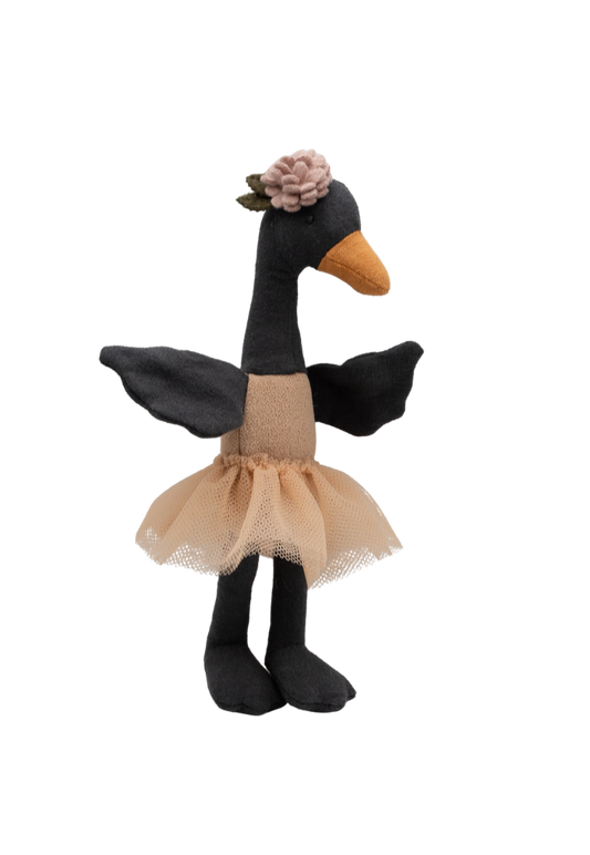 Wattle The Bush Florist | Miniature Black Swan