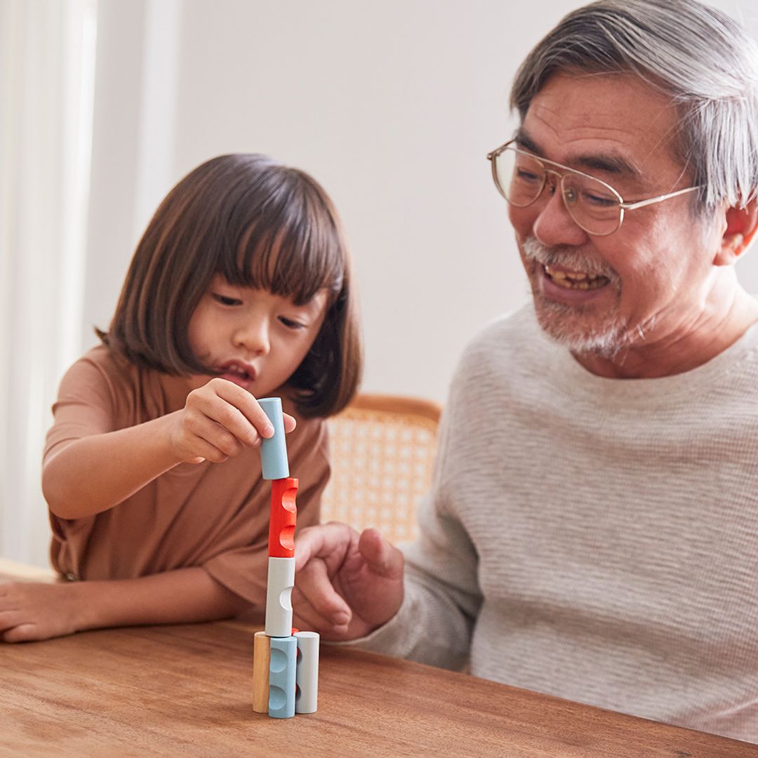 Log Puzzle - PlanMini