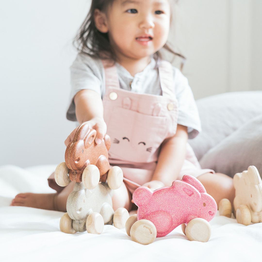 Push Along Bunny - Grey