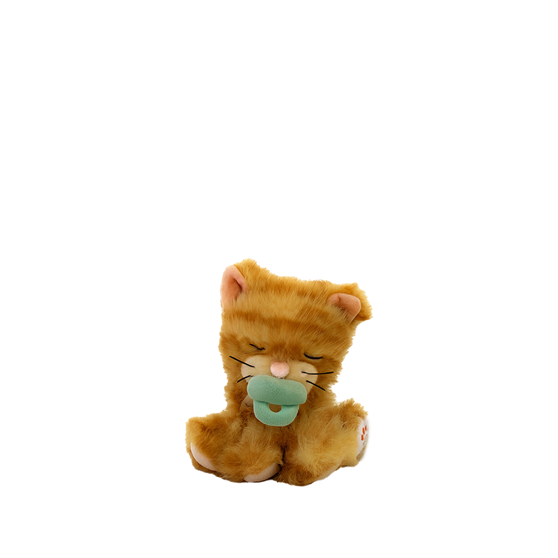 Binky Kitten | Koda