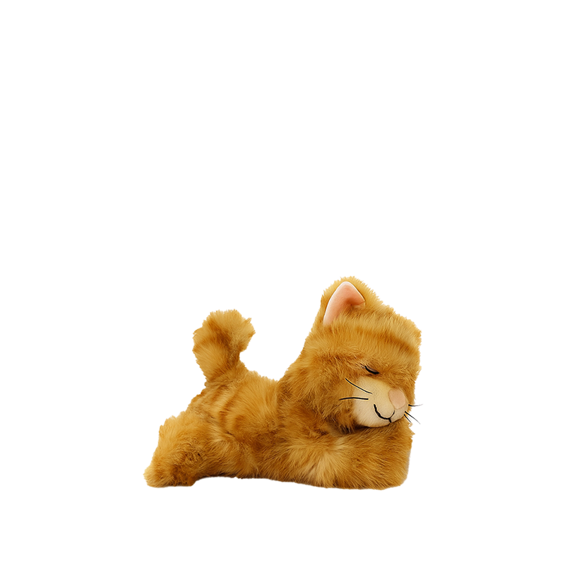 Binky Kitten | Koda