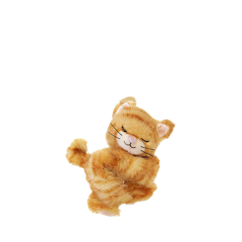 Binky Kitten | Koda
